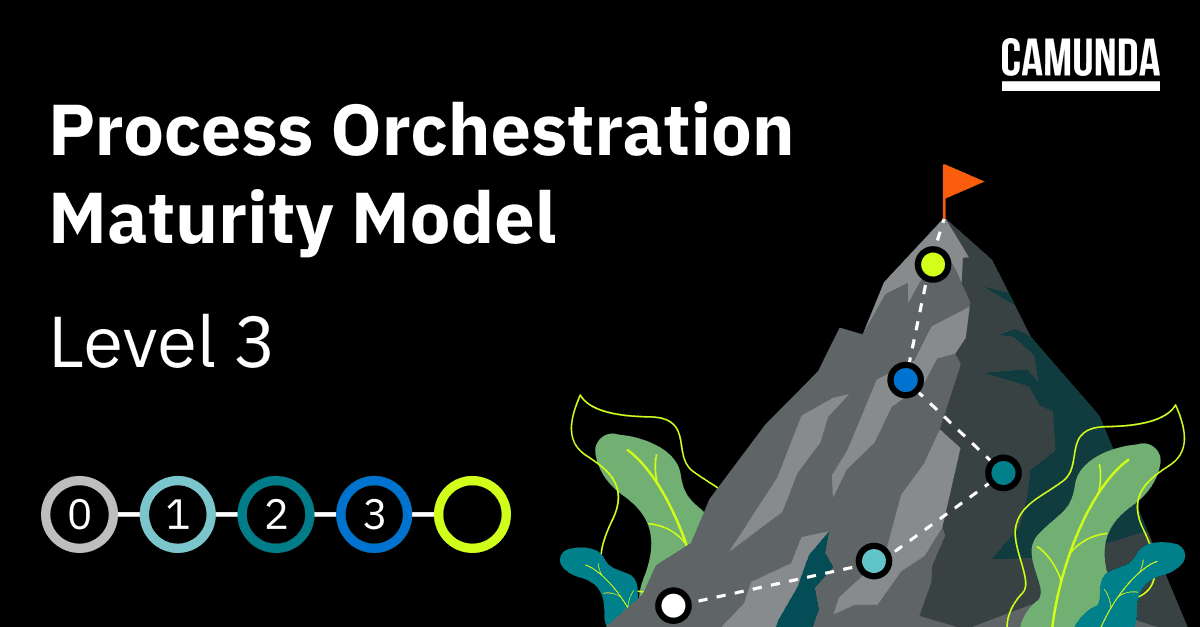 Process Orchestration Maturity Model: Level 3