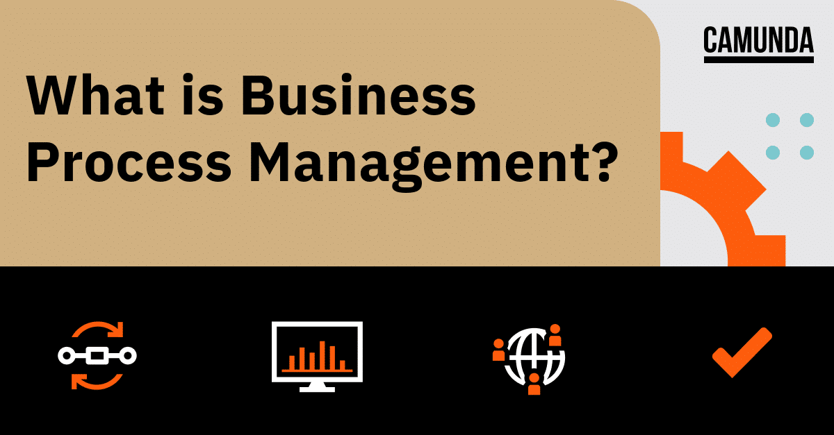 What is Business Process Management?