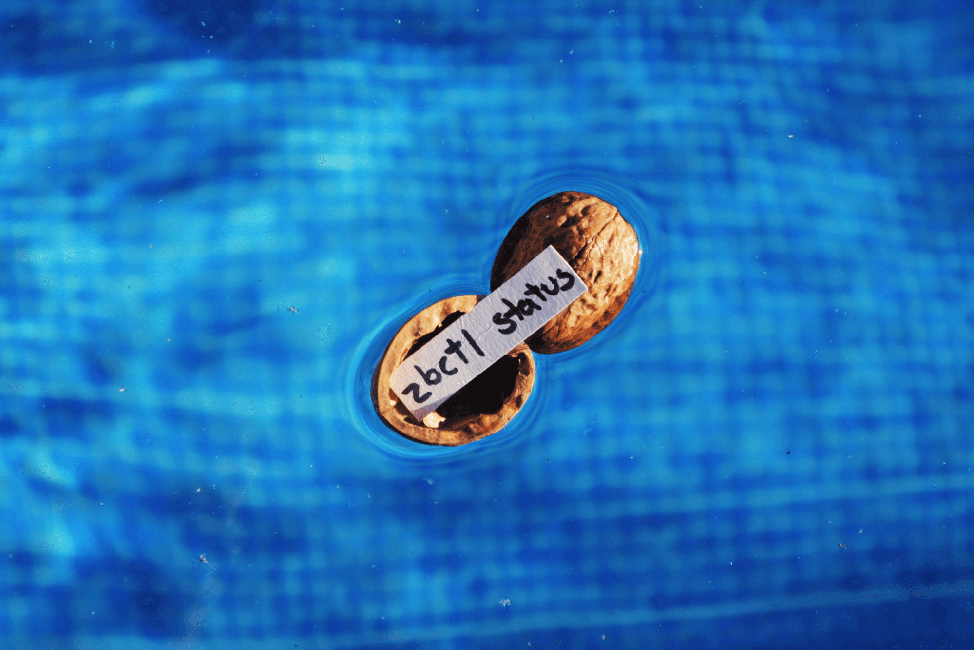 Managing Camunda Cloud in a (Nut)shell