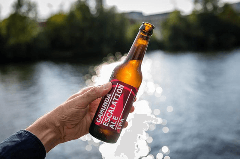 2019: A Plethora of new Product Releases and Community Activity