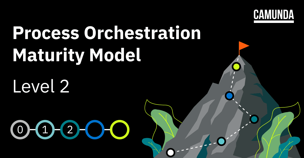 Process Orchestration Maturity Model: Level 2