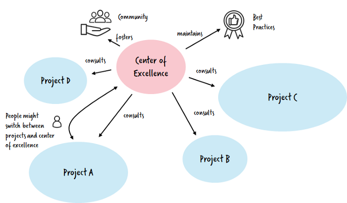 From Project to Program: Establishing a Center of Excellence