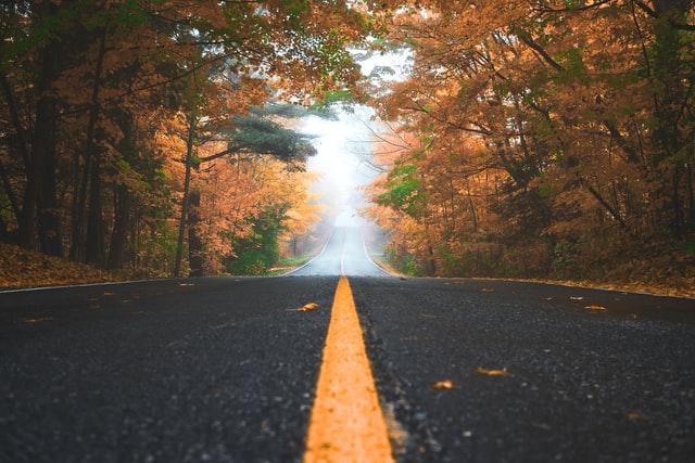 road in the fall