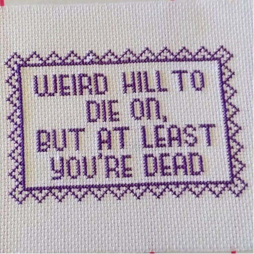 Cross stitch saying "Weird hill to die on, but at least you're dead." 