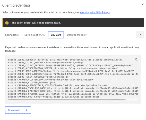 Screen for selecting credentials format, with Env Vars tab selected